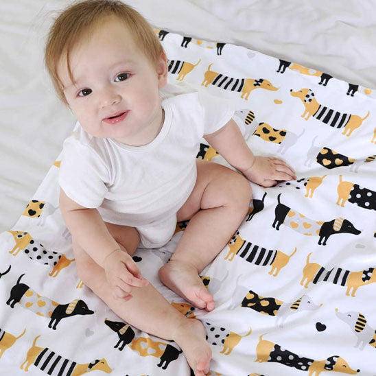 enfant assis sur couverture bebe chiens